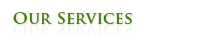 Our Services